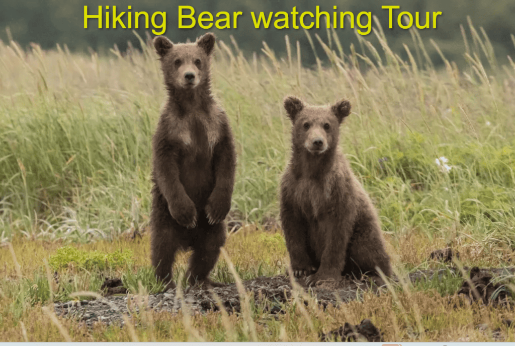 THE BEST Outdoor Activities in Slovakia