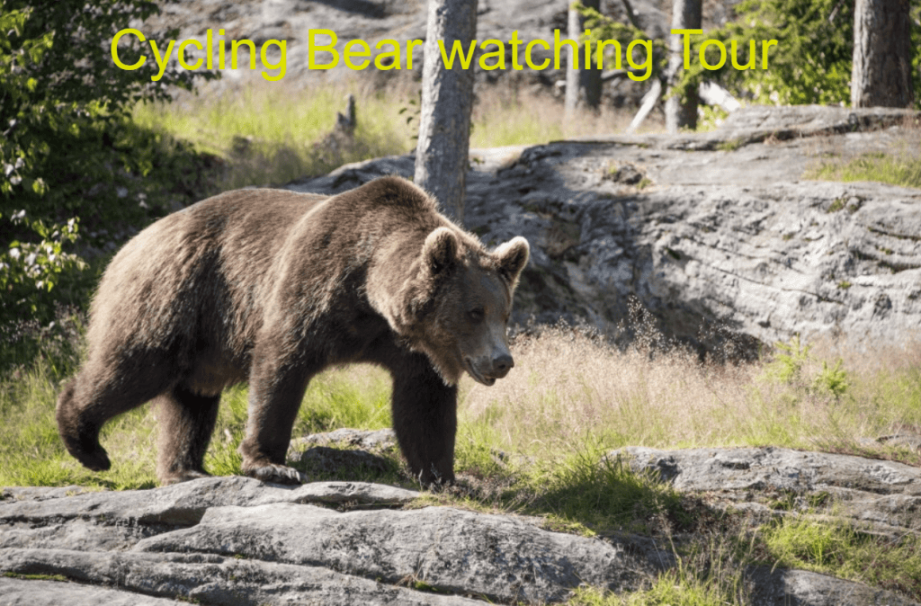 THE BEST Outdoor Activities in Slovakia