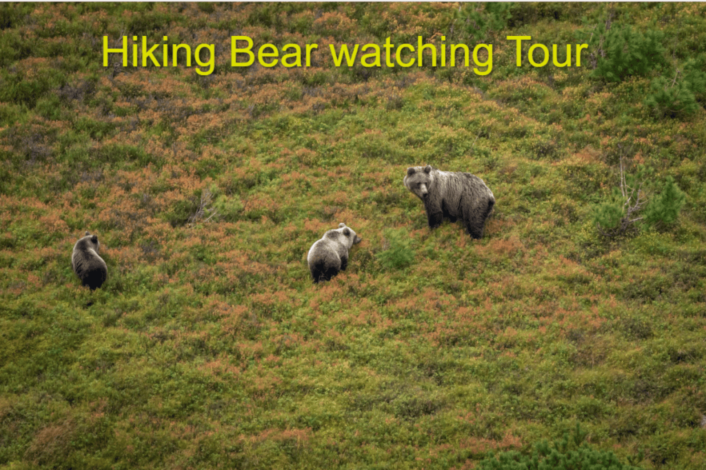 Sports and Outdoor Activities in Slovakia