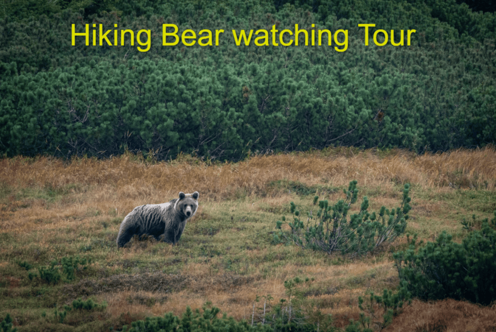 Top Guided Outdoor Activities and Tours in Slovakia