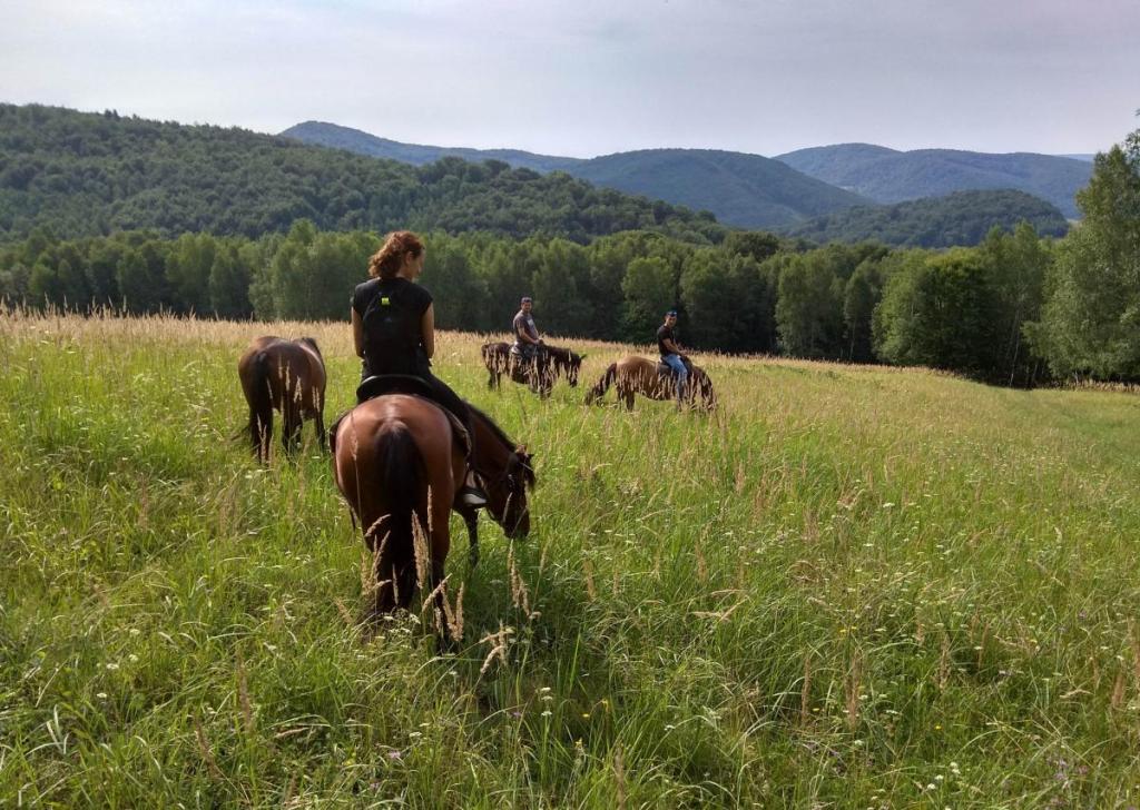 Horse Riding Tours Slovakia
