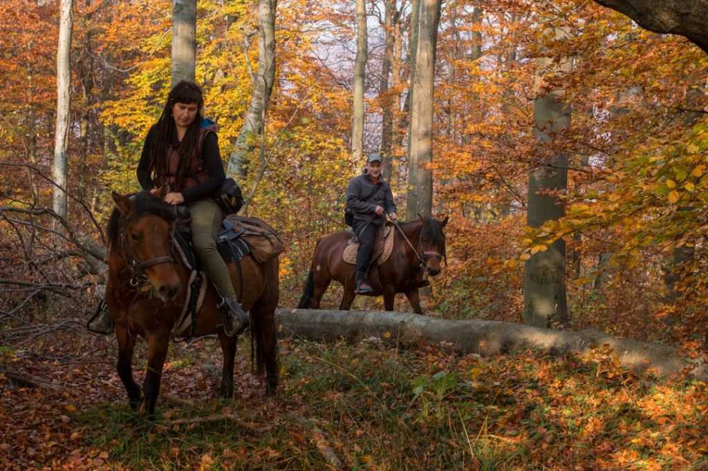 Horse Riding Tours Slovakia