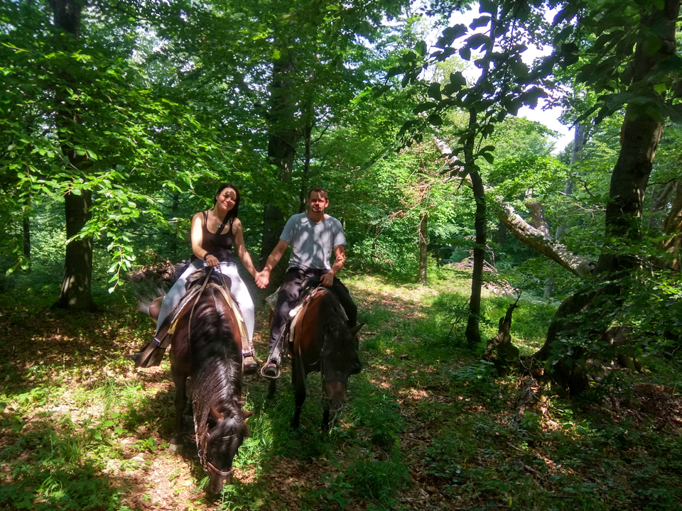 Horse Riding Tours Slovakia