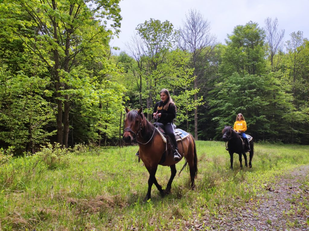 Horse Riding Tour in Slovakia