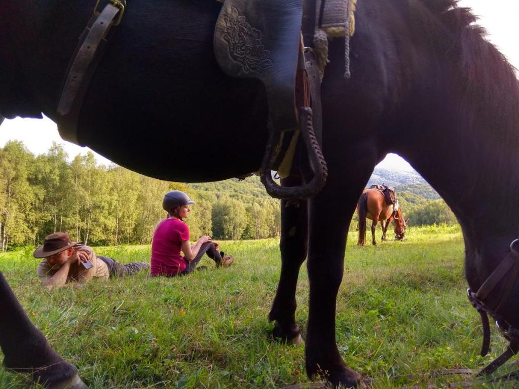 Horse Riding Tours in Slovakia