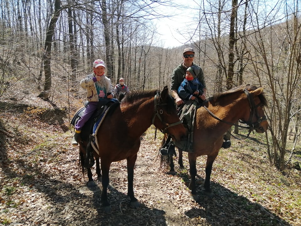 Best Horse Riding Tours in Slovakia