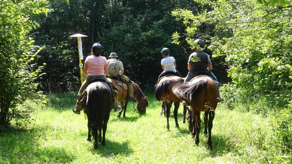 Best Horse Riding Tours in Slovakia