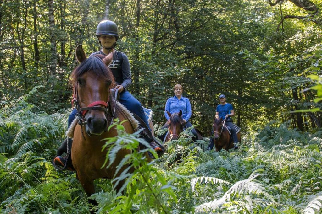  Horse Riding Tours in Slovakia