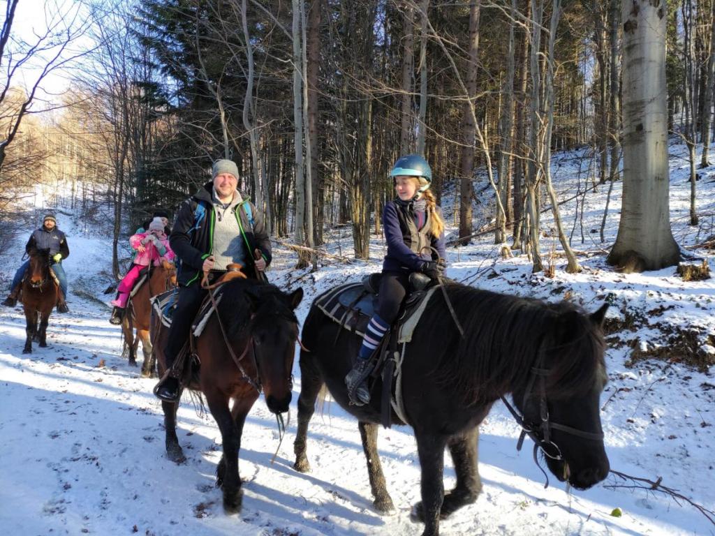 Best Horse Riding Tours in Slovakia