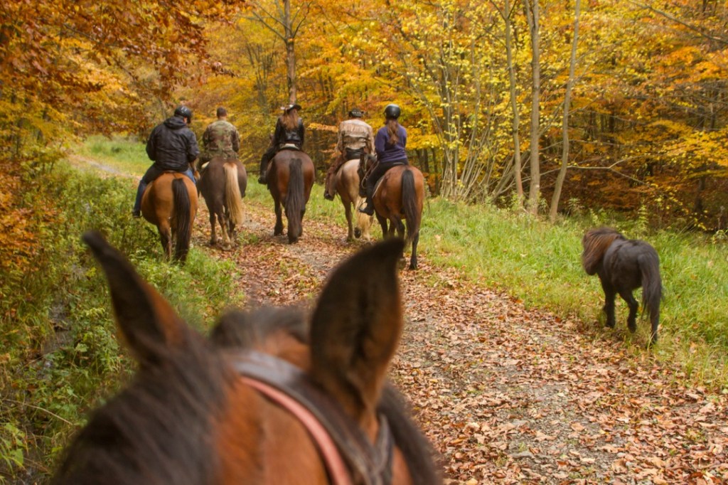 Horse Riding Tours in Slovakia